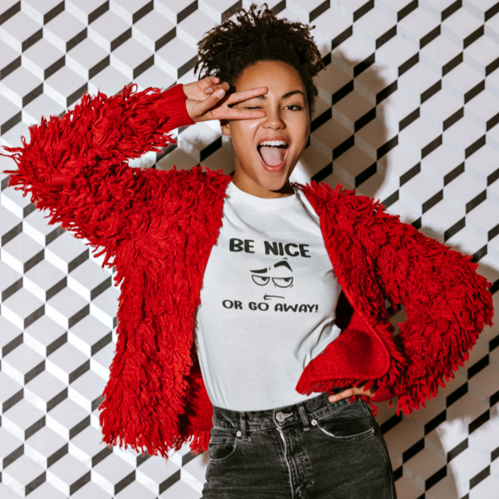 Funny T-Shirt "Be nice or go away' - Funnytwist.com